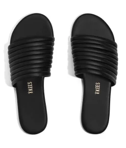 Caro - TKEES