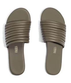 Caro - TKEES